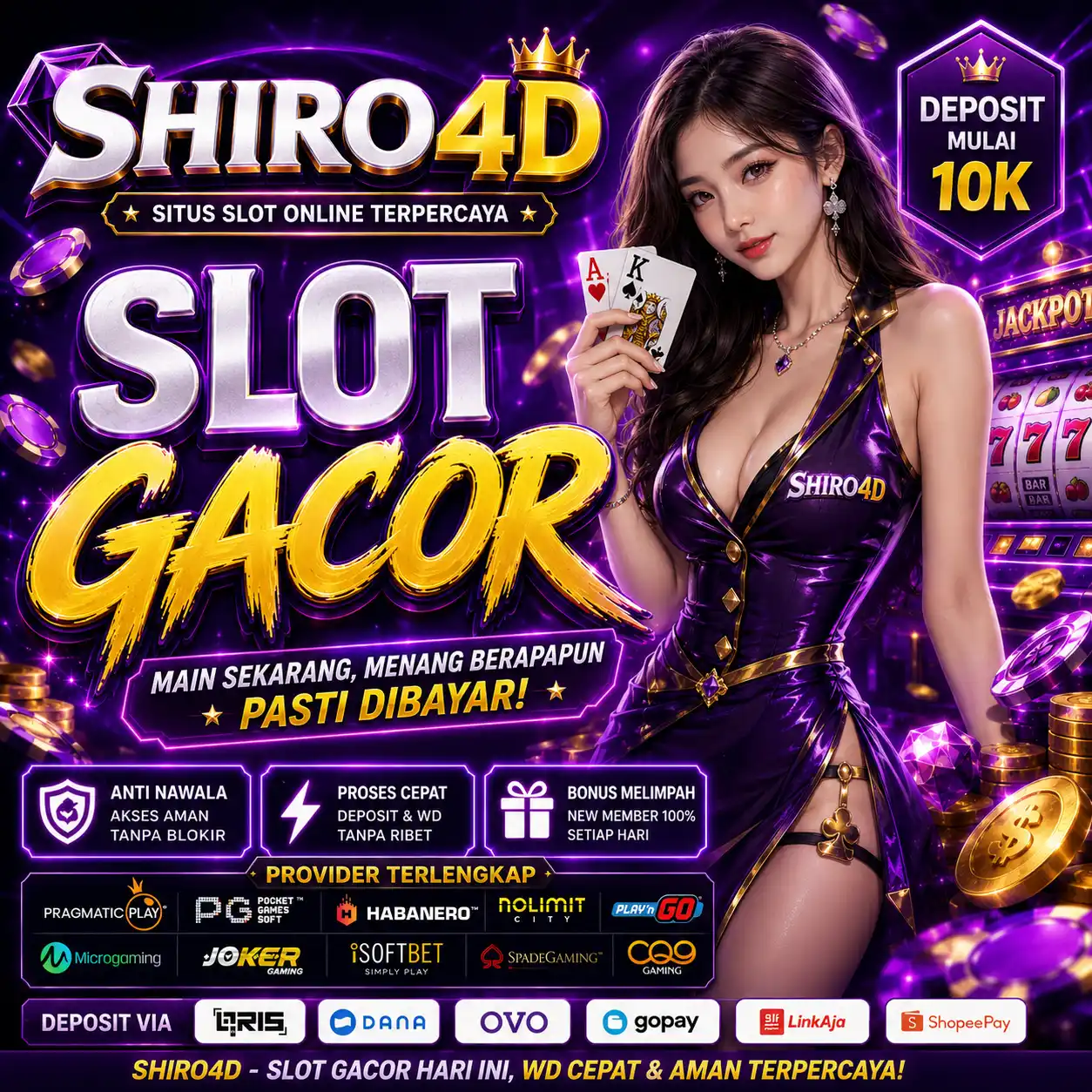 Shiro4D